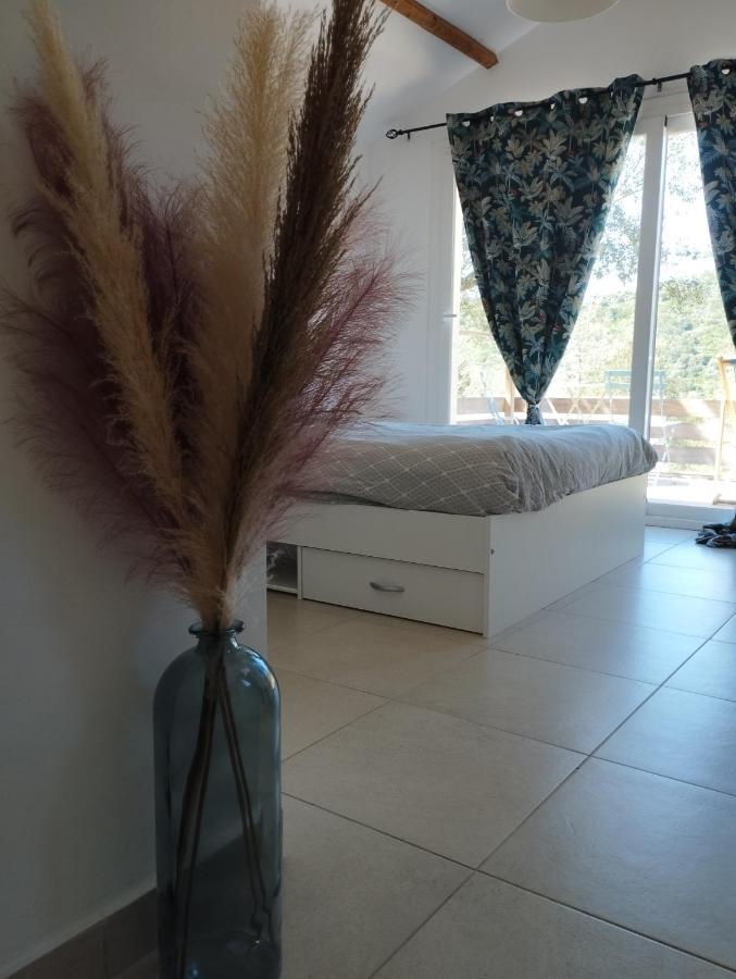 Ferienhaus Maison 38m2 15min De Corte 30min De Bastia *